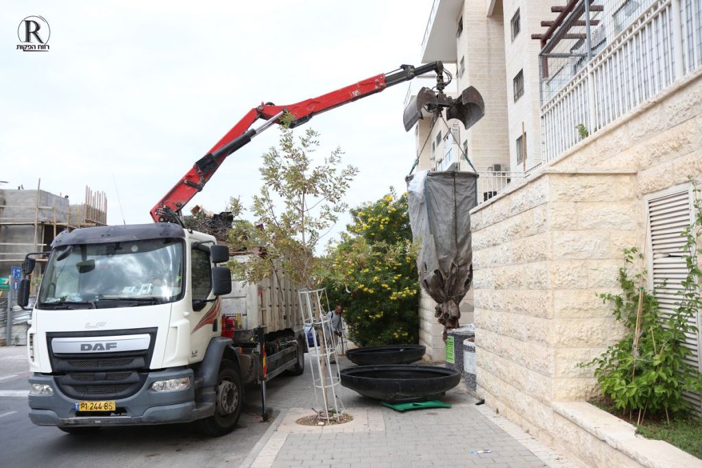 משאית אוספת פח מוטמן